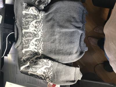 Brontosaurus peysa 2