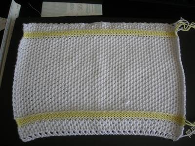 dish cloth